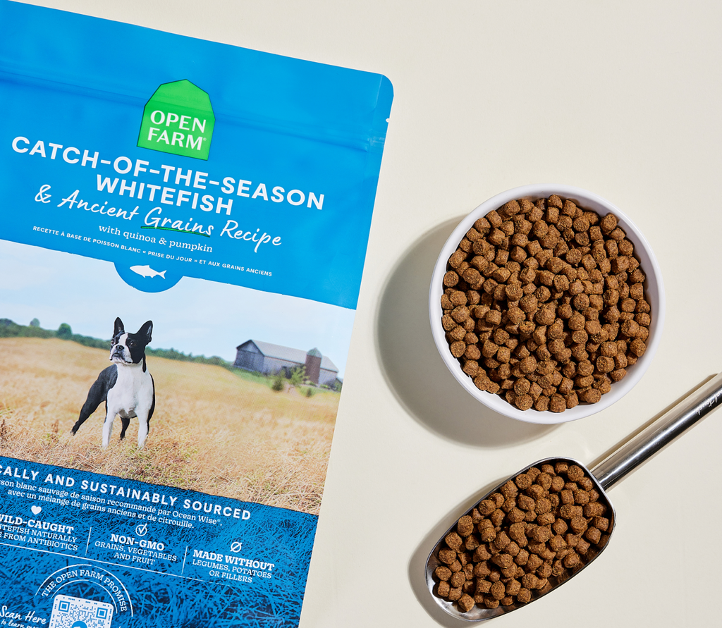 Seasonal Wild Whitefish & Ancient Grains Dry Dog Kibble – Omega-3