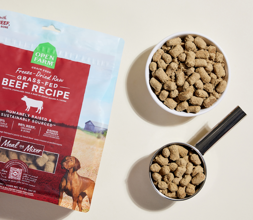 Single-Protein Grass-Fed Beef Freeze-Dried Raw Morsels – Dog Food, Grain-Free
