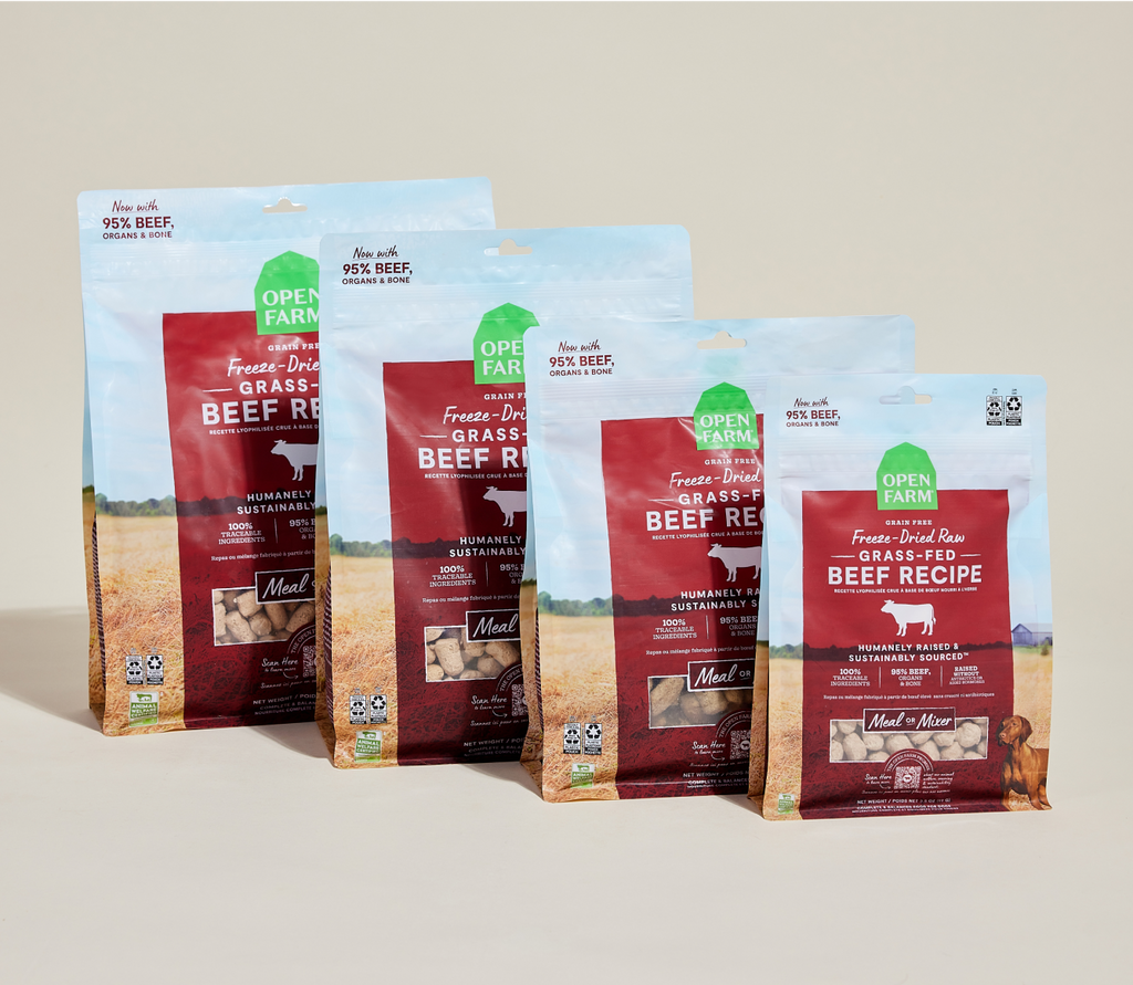 Single-Protein Grass-Fed Beef Freeze-Dried Raw Morsels – Dog Food, Grain-Free