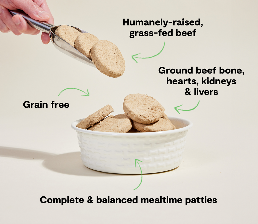 Freeze-Dried Raw Grass-Fed Beef Patties for Dogs - 95% Beef, Organ & Bone