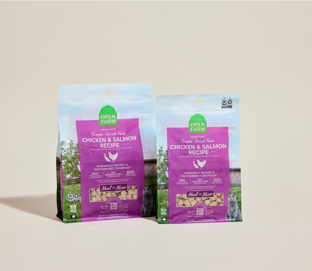 Chicken & Salmon Freeze-Dried Raw Cat Food – 98% Meat Morsel Meal Mixer