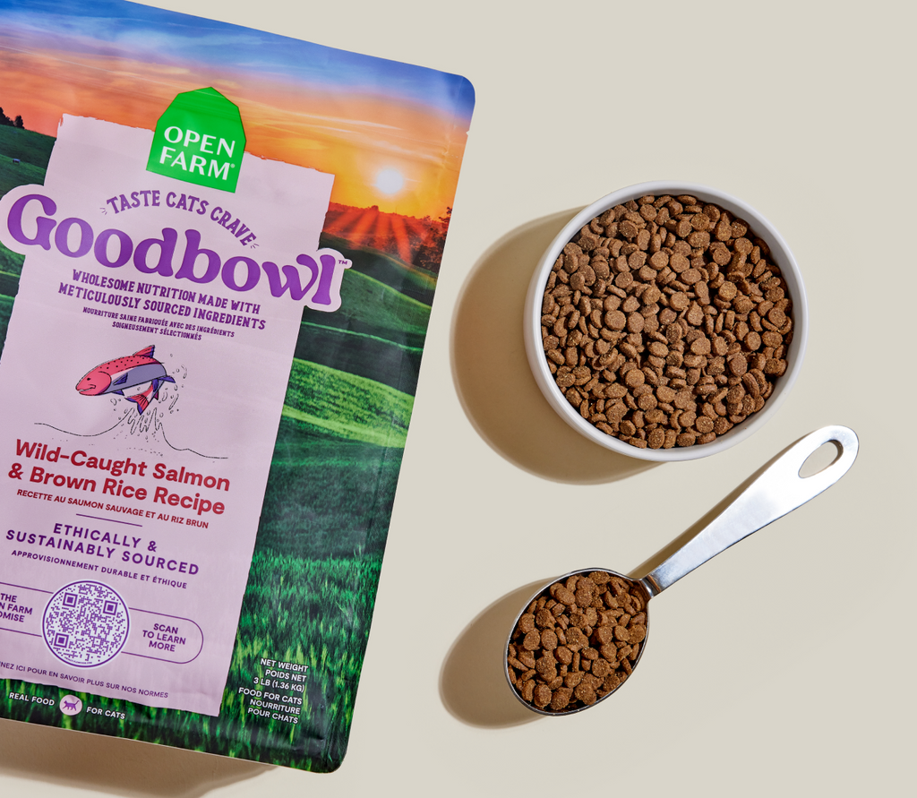 Wild-Caught Salmon & Brown Rice Cat Kibble – Protein-Rich Dry Food