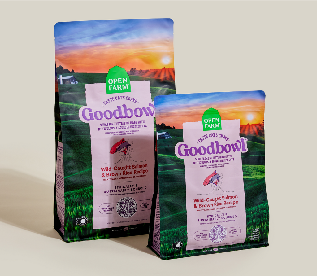 Wild-Caught Salmon & Brown Rice Cat Kibble – Protein-Rich Dry Food