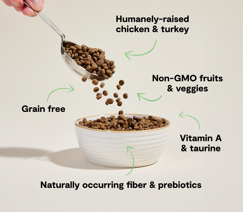 Grain-Free Chicken & Turkey Kibble for Growing Kittens - Digestive Support