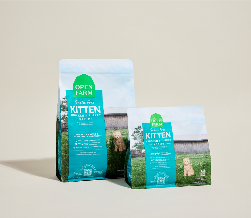 Grain-Free Chicken & Turkey Kibble for Growing Kittens - Digestive Support