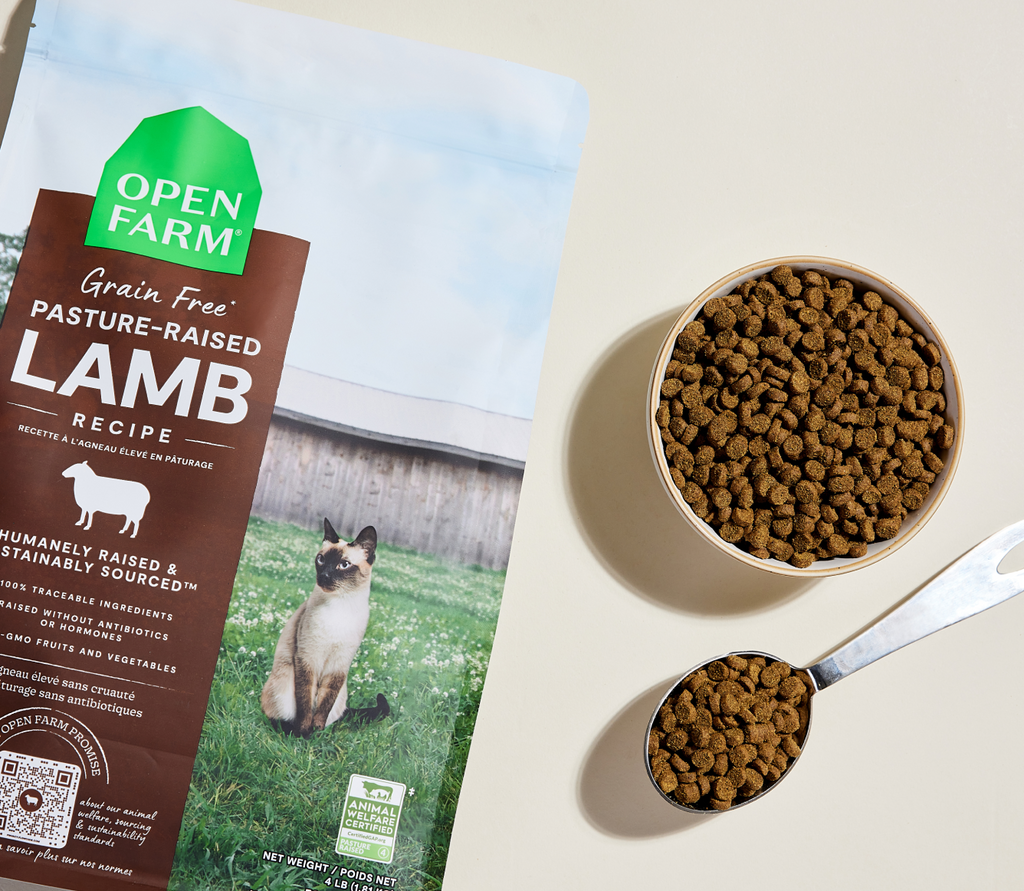 New Zealand Lamb Grain-Free Cat Kibble – Digestive Support Dry Food
