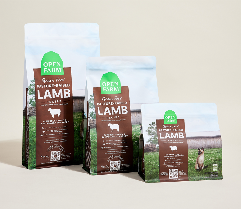 New Zealand Lamb Grain-Free Cat Kibble – Digestive Support Dry Food