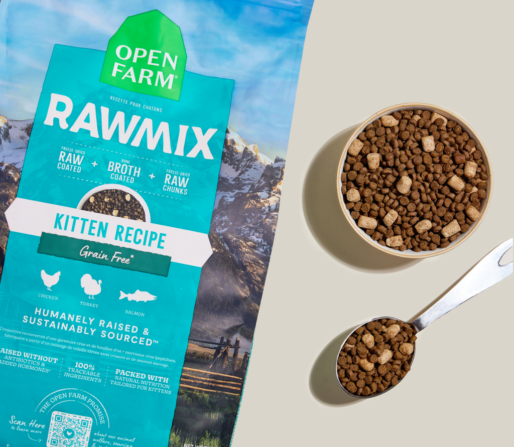 Grain-Free Chicken Turkey Salmon Kitten RawMix Kibble – DHA Raw-Coated