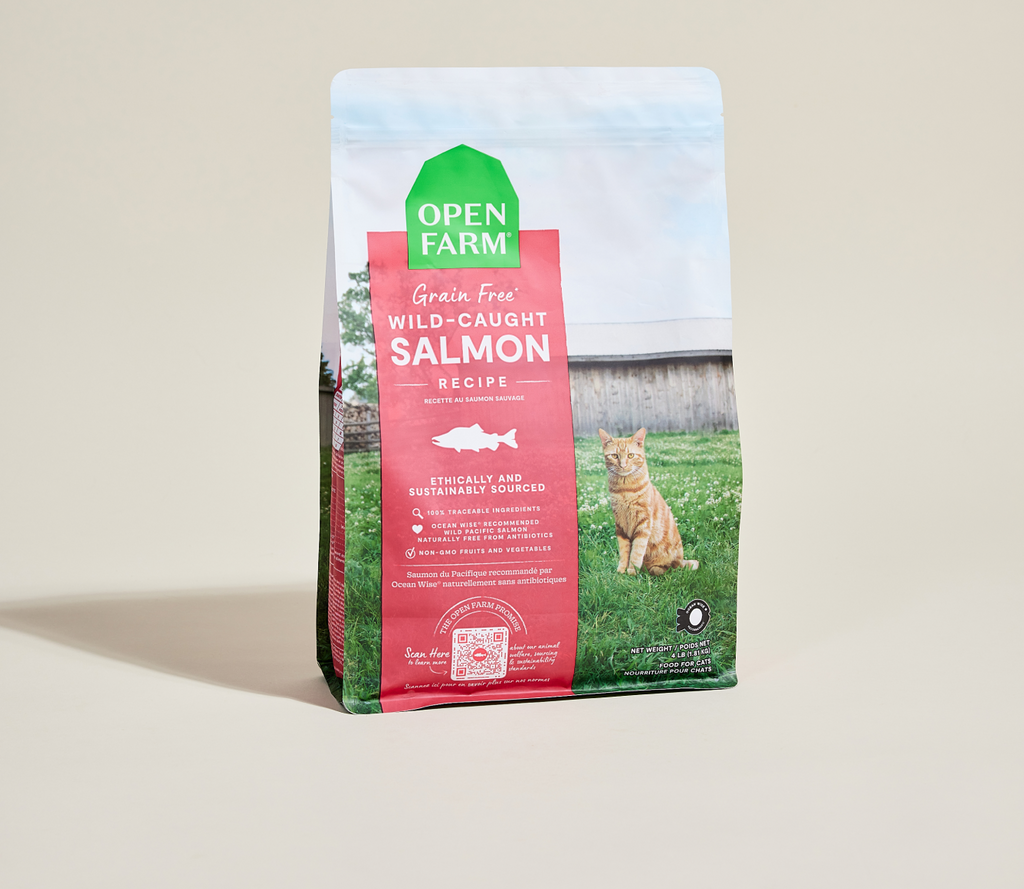 Grain-Free Wild-Caught Salmon Cat Kibble - Omega-3 & DHA Skin & Coat Meal