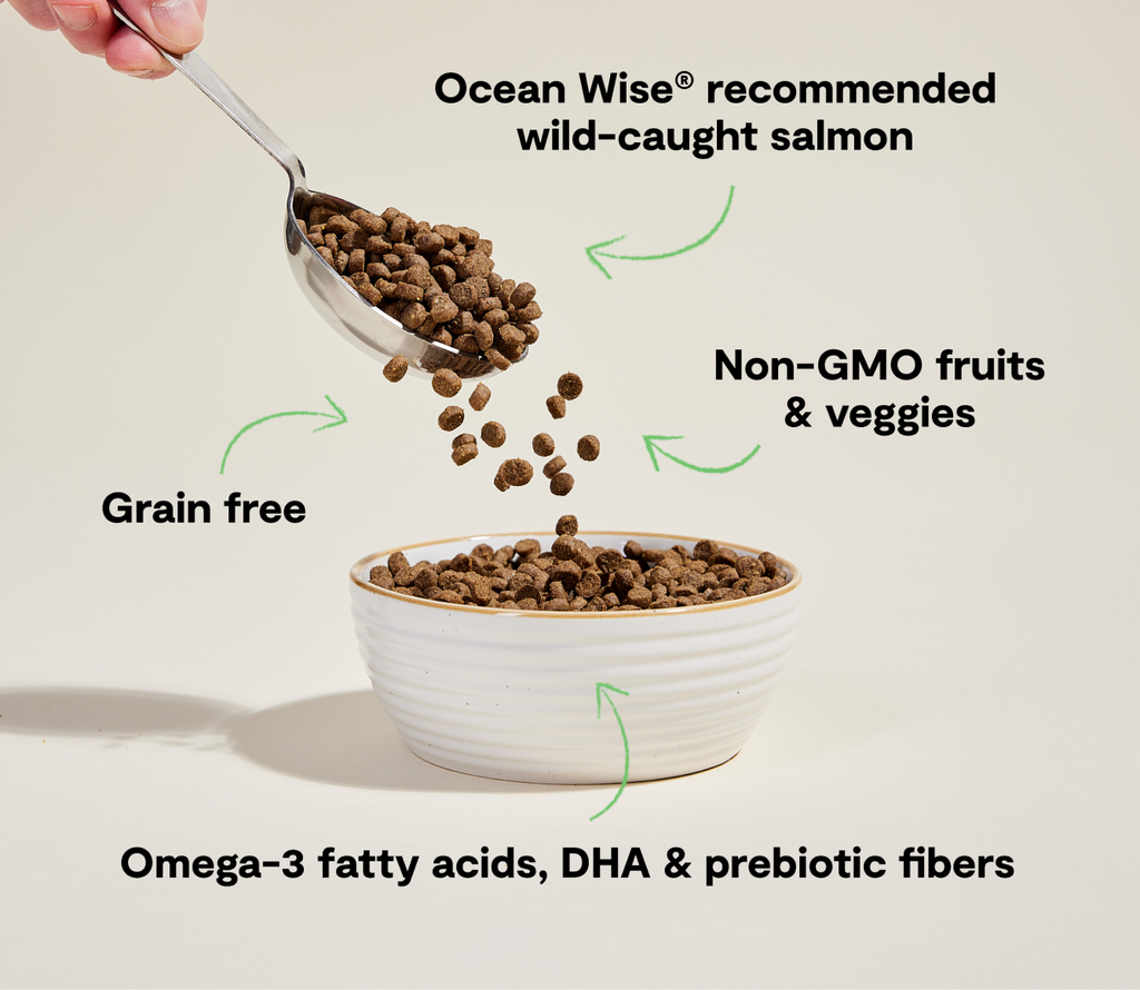 Grain-Free Wild-Caught Salmon Cat Kibble - Omega-3 & DHA Skin & Coat Meal