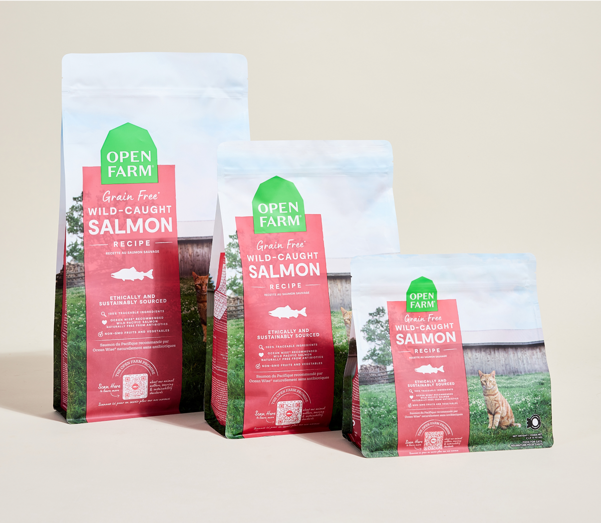 Grain-Free Wild-Caught Salmon Cat Kibble - Omega-3 & DHA Skin & Coat Meal