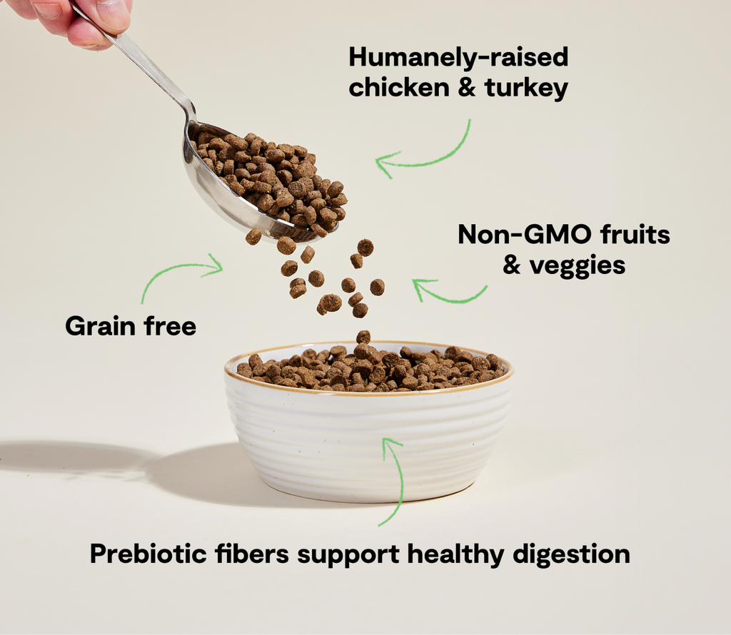 Turkey & Chicken Grain-Free Cat Kibble – Cranberry Dandelion Digestive