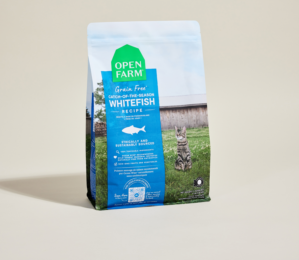 Grain-Free Wild-Caught Whitefish Cat Kibble - Omega-3 Skin & Coat Dry Food