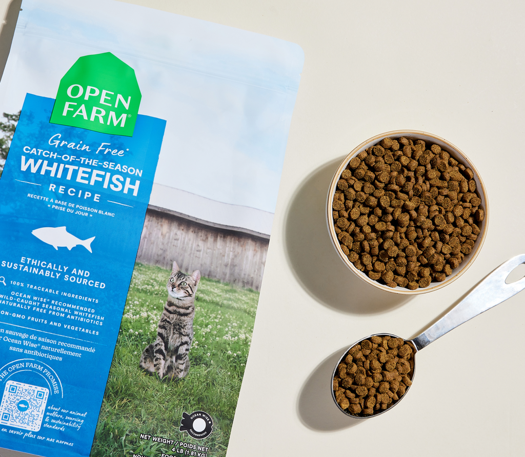 Grain-Free Wild-Caught Whitefish Cat Kibble - Omega-3 Skin & Coat Dry Food