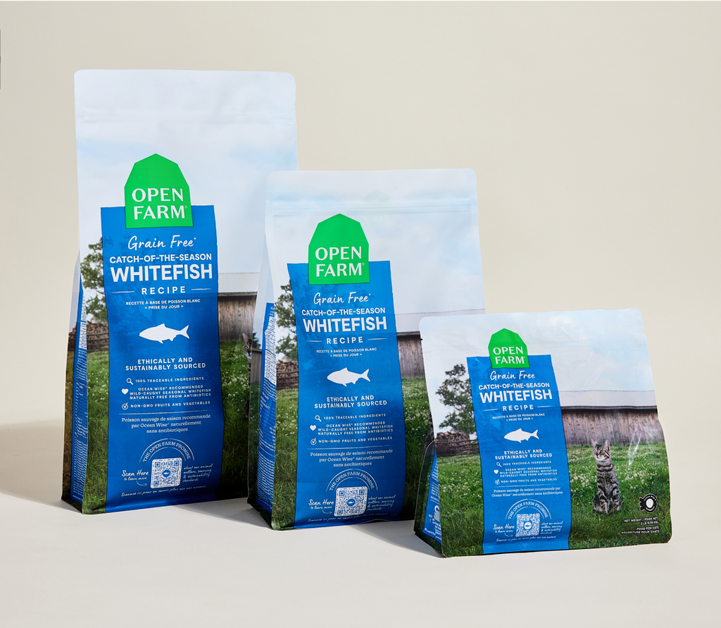 Grain-Free Wild-Caught Whitefish Cat Kibble - Omega-3 Skin & Coat Dry Food