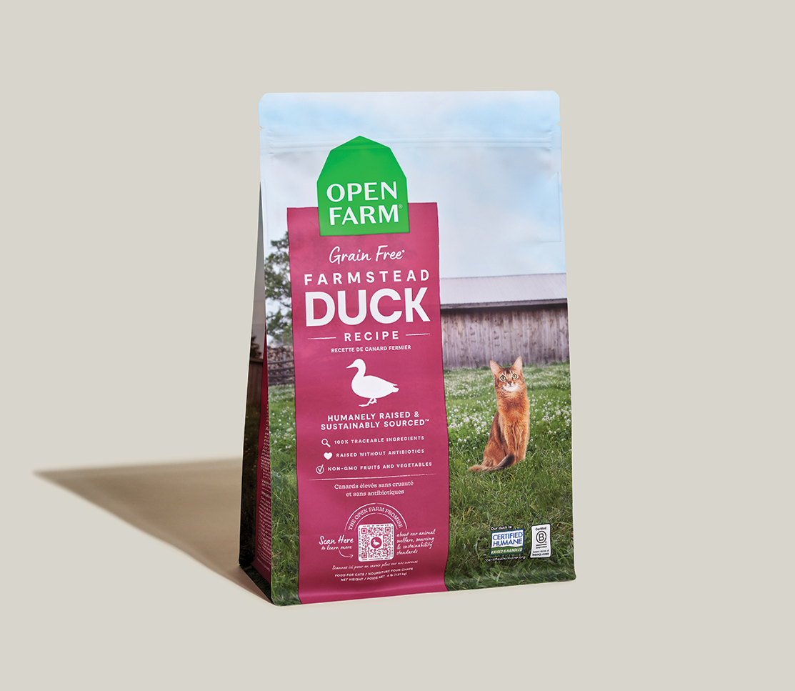 Grain-Free Duck Dry Cat Kibble – Complete Daily Feline Food, Non-GMO