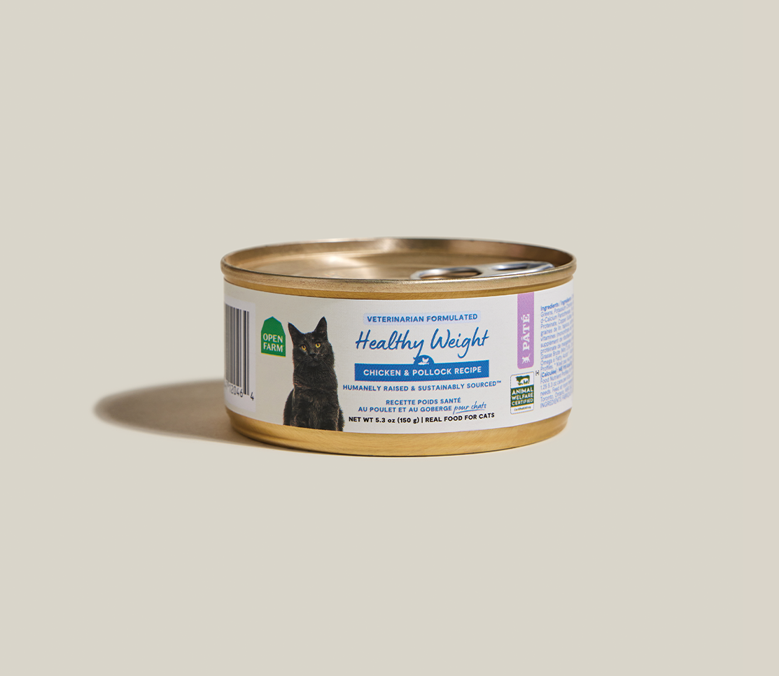 Chicken & Wild Pollock Weight-Management Pâté – Low-Calorie Cat Food
