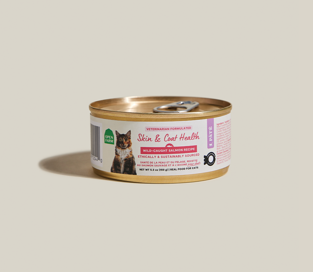 Wild-Caught Salmon & Whitefish Pâté for Cats – Skin & Coat Health Recipe