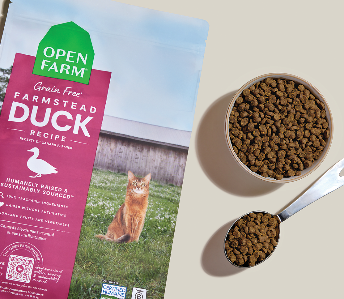 Grain-Free Duck Dry Cat Kibble – Complete Daily Feline Food, Non-GMO
