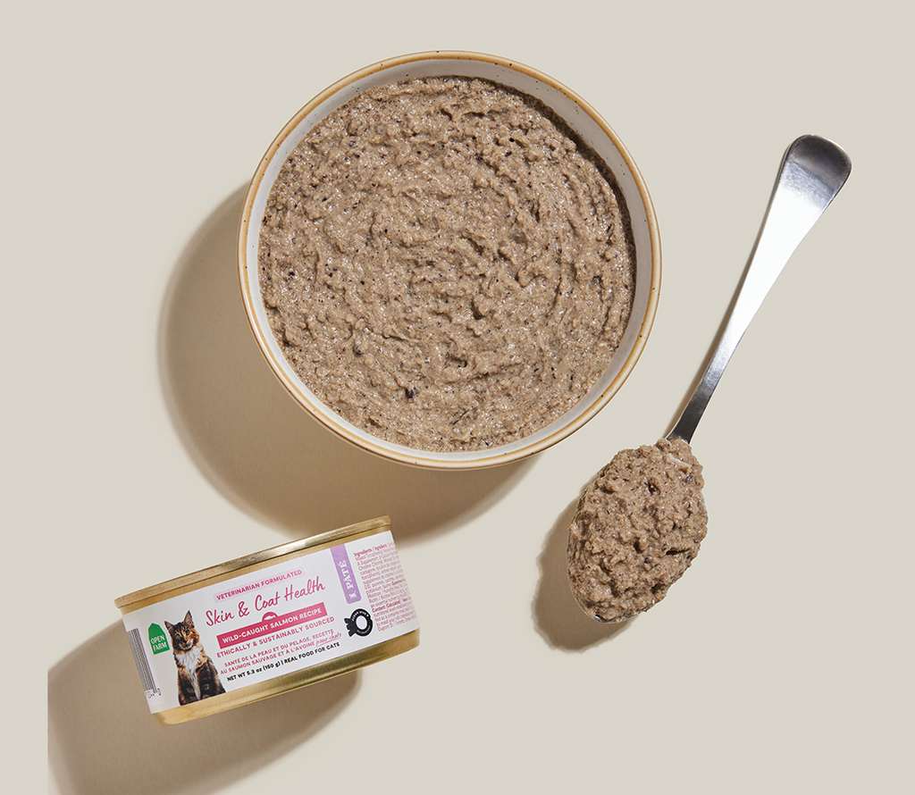 Wild-Caught Salmon & Whitefish Pâté for Cats – Skin & Coat Health Recipe