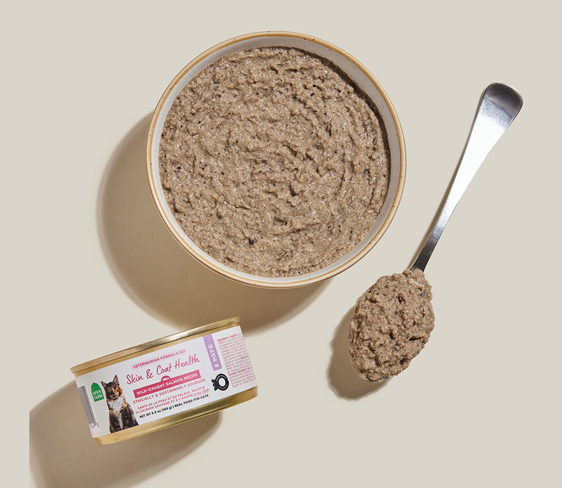 Wild-Caught Salmon & Whitefish Pâté for Cats – Skin & Coat Health Recipe
