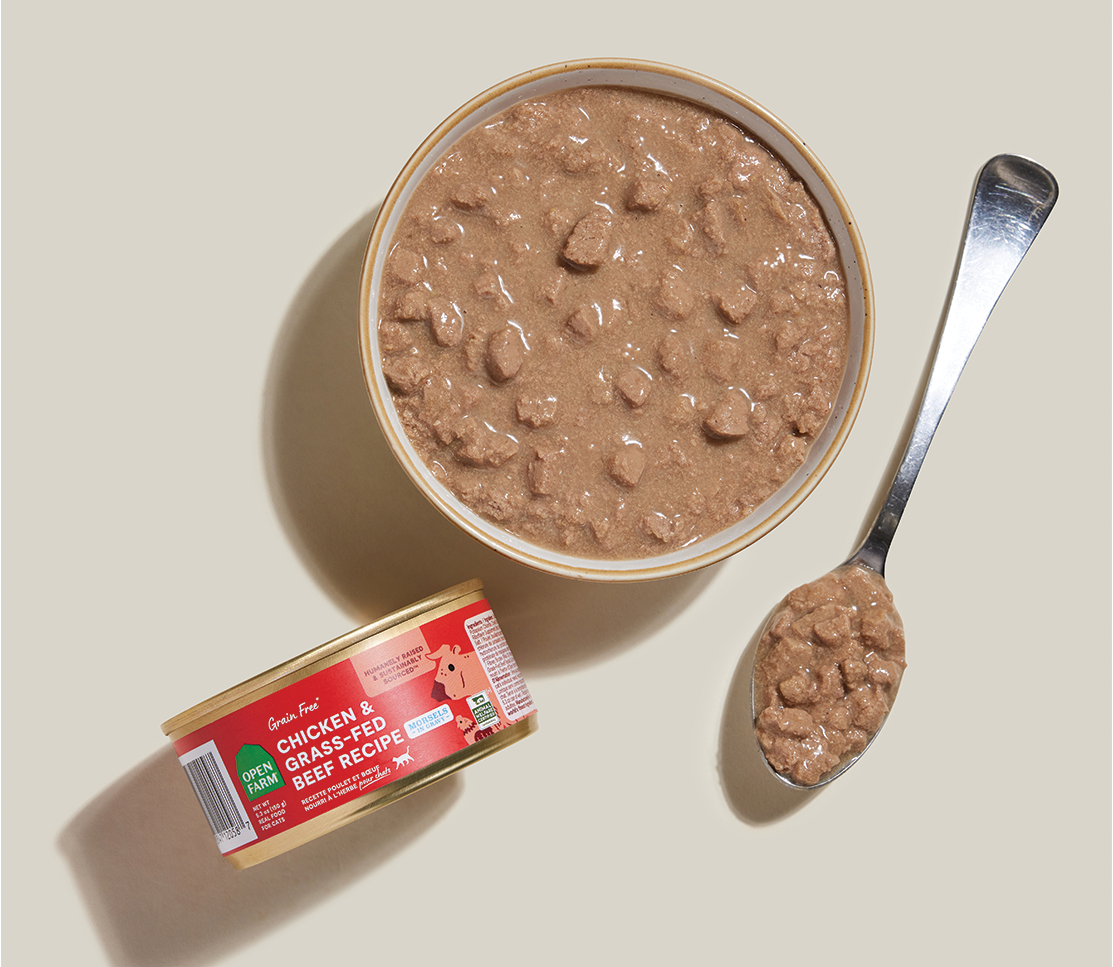 Chicken & Grass-Fed Beef Morsels in Savory Gravy for Adult & Senior Cats