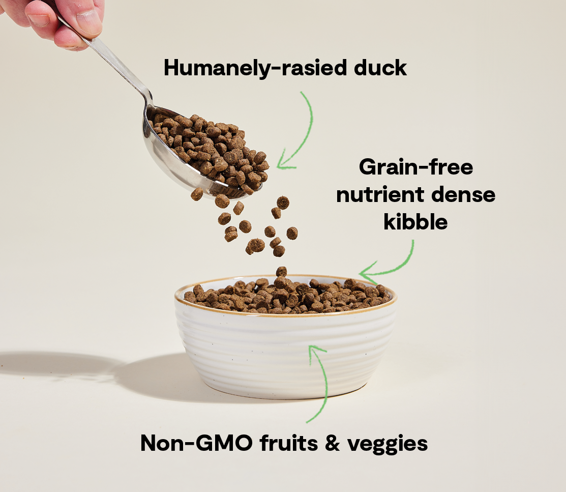 Grain-Free Duck Dry Cat Kibble – Complete Daily Feline Food, Non-GMO