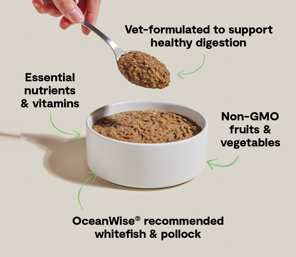 Wild Whitefish & Pollock Digestive Health Grain-Free Cat Pâté