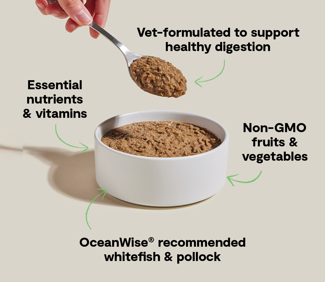 Wild Whitefish & Pollock Digestive Health Grain-Free Cat Pâté