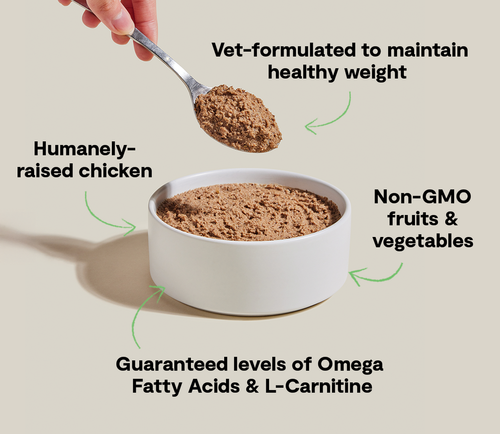 Chicken & Wild Pollock Weight-Management Pâté – Low-Calorie Cat Food