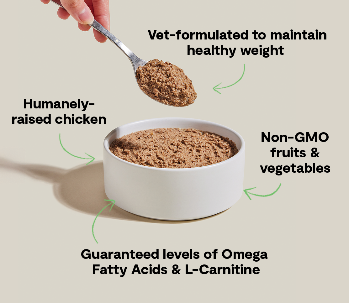 Chicken & Wild Pollock Weight-Management Pâté – Low-Calorie Cat Food