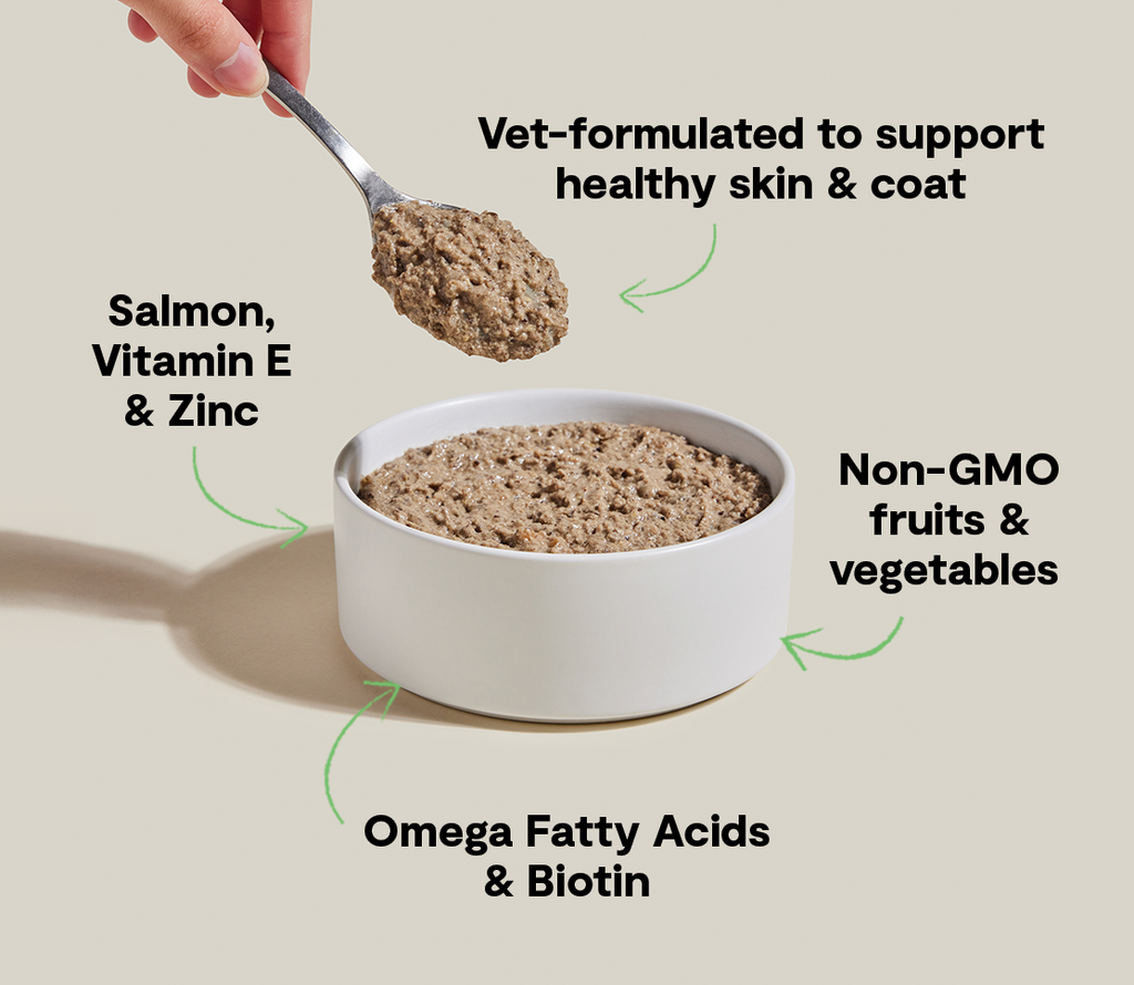 Wild-Caught Salmon & Whitefish Pâté for Cats – Skin & Coat Health Recipe