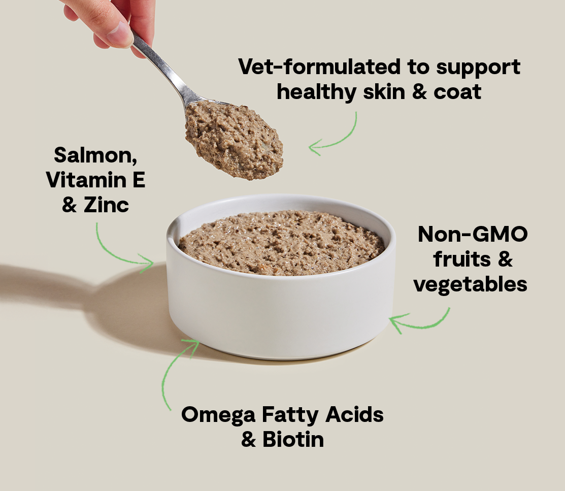 Wild-Caught Salmon & Whitefish Pâté for Cats – Skin & Coat Health Recipe
