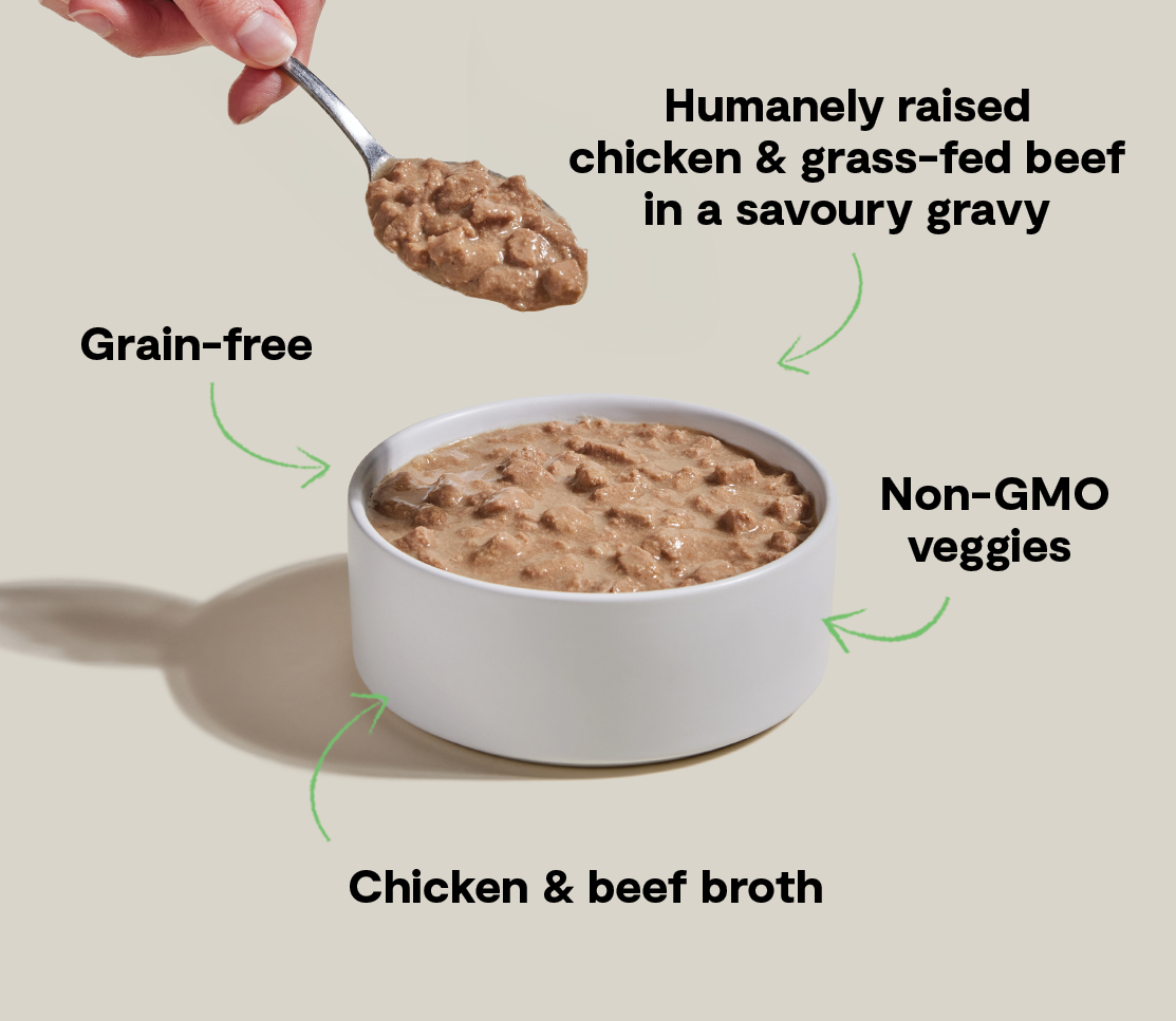 Chicken & Grass-Fed Beef Morsels in Savory Gravy for Adult & Senior Cats