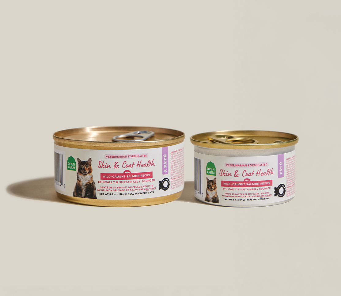 Wild-Caught Salmon & Whitefish Pâté for Cats – Skin & Coat Health Recipe