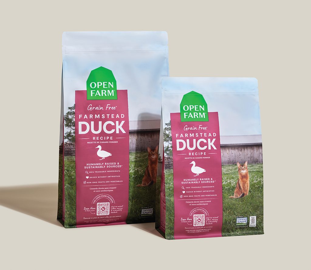 Grain-Free Duck Dry Cat Kibble – Complete Daily Feline Food, Non-GMO