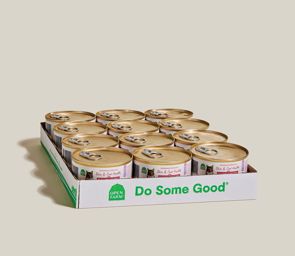 Wild-Caught Salmon & Whitefish Pâté for Cats – Skin & Coat Health Recipe