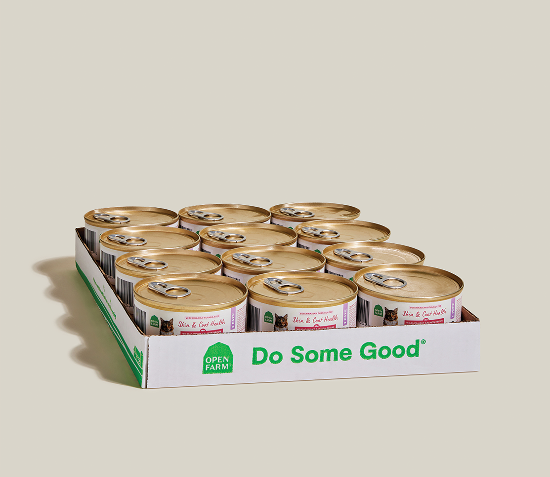 Wild-Caught Salmon & Whitefish Pâté for Cats – Skin & Coat Health Recipe