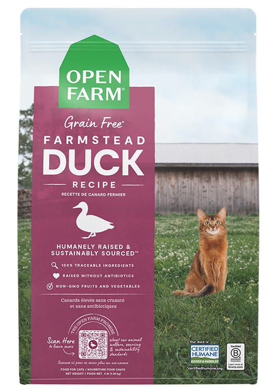 Grain-Free Duck Dry Cat Kibble – Complete Daily Feline Food, Non-GMO
