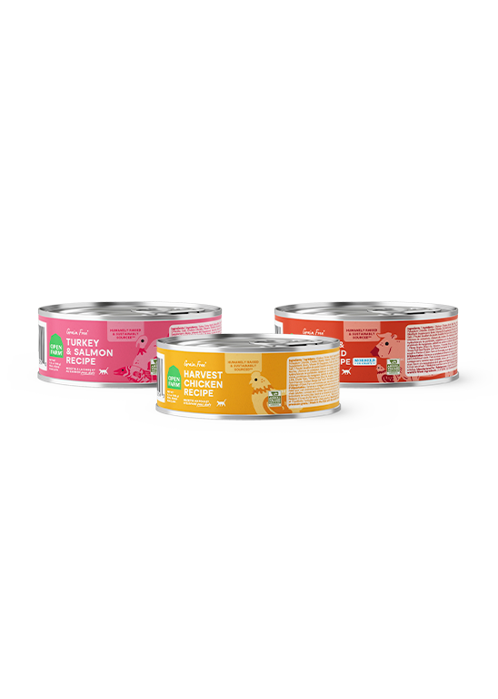 Wet Cat Morsels in Gravy Variety Pack - Chicken, Turkey Salmon & Beef Cans