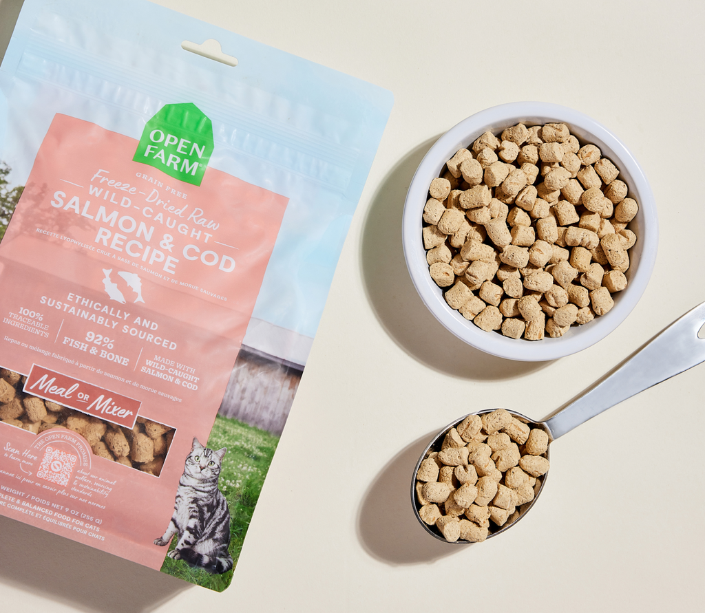 Wild Salmon & Cod Freeze-Dried Raw Morsels – Grain-Free Cat Food or Topper