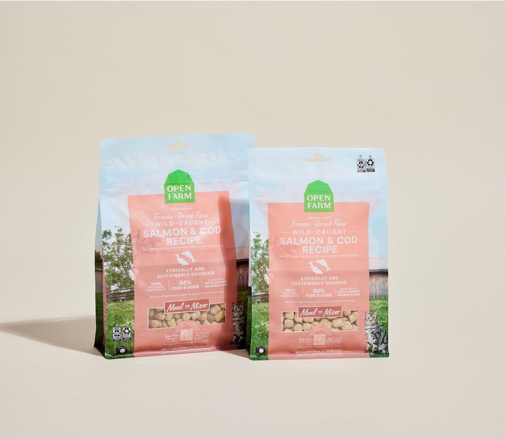 Wild Salmon & Cod Freeze-Dried Raw Morsels – Grain-Free Cat Food or Topper