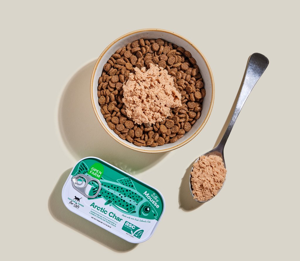 Icelandic Arctic Char Mousse Topper – Grain-Free Wet Food Mixer for Cats