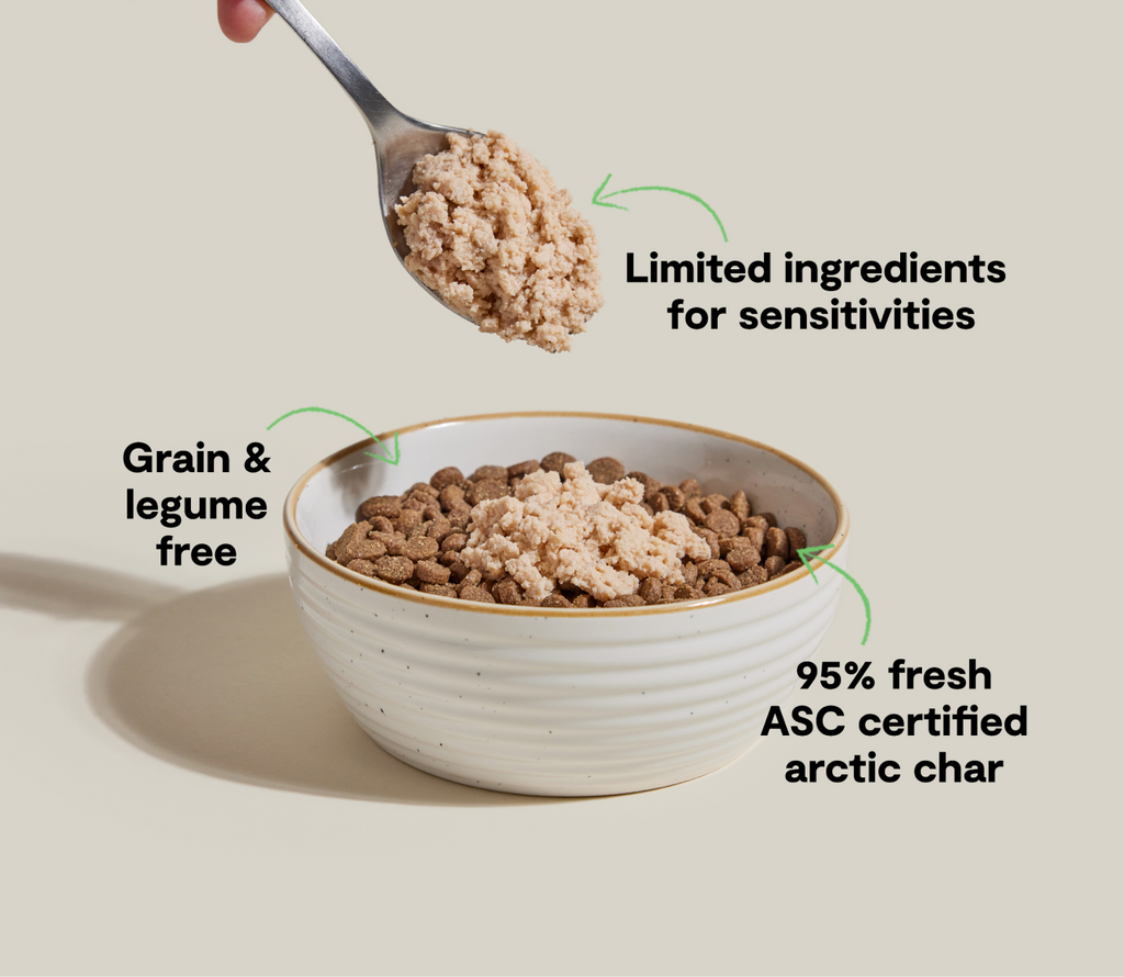 Icelandic Arctic Char Mousse Topper – Grain-Free Wet Food Mixer for Cats