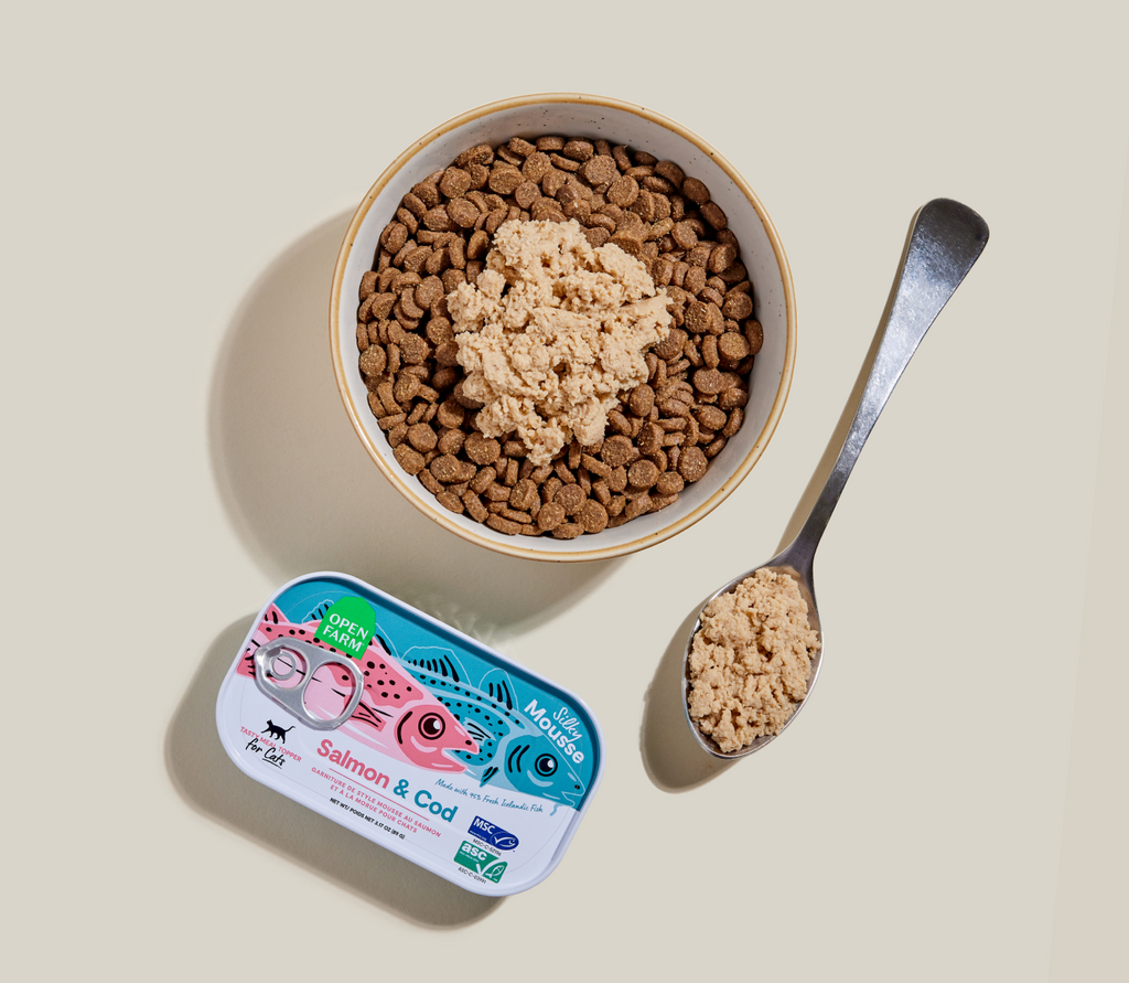 Icelandic Salmon & Cod Grain-Free Cat Food Topper Mousse – 95% Fish