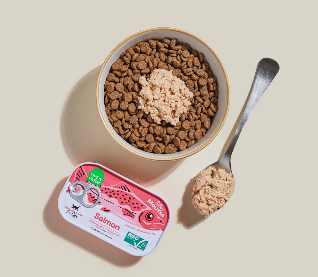 Icelandic Salmon Silky Mousse Cat Topper – 95% Salmon Grain-Free