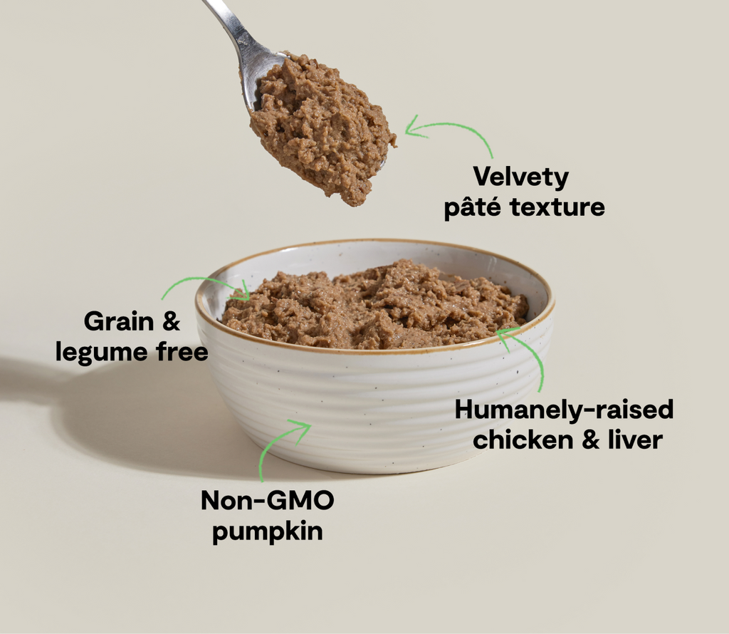 Humanely Raised Chicken Grain-Free Pâté – Complete Wet Cat Food