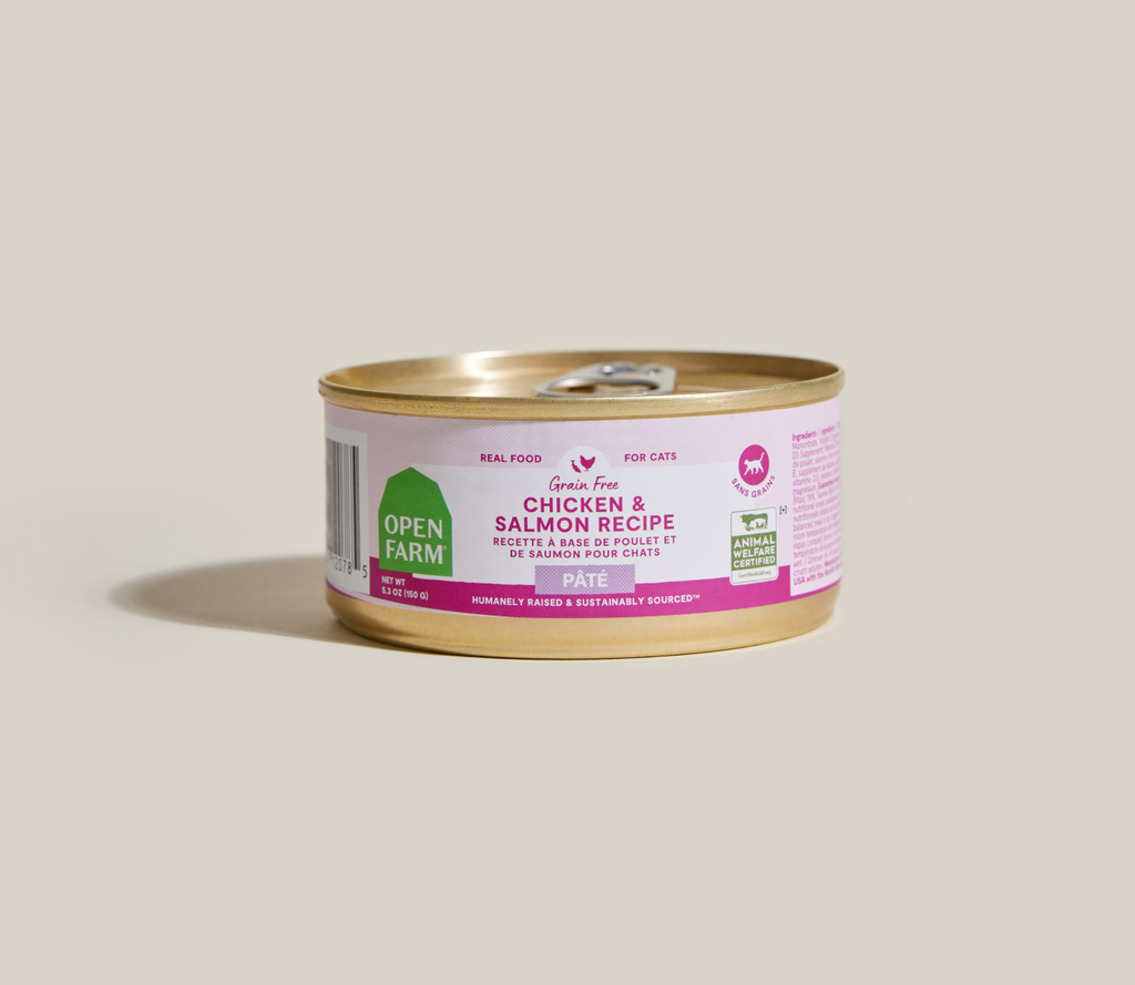 Ocean Wise Salmon & Chicken Grain-Free Pâté – Wet Cat Food Meal