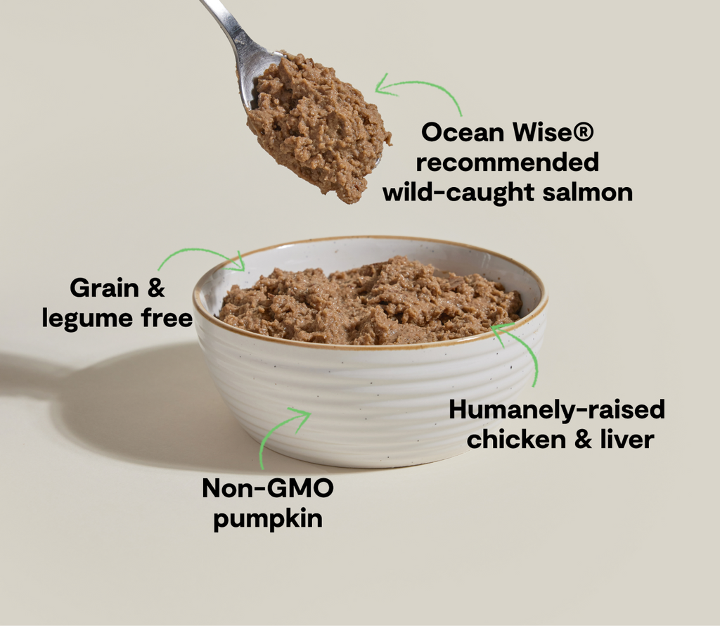 Ocean Wise Salmon & Chicken Grain-Free Pâté – Wet Cat Food Meal