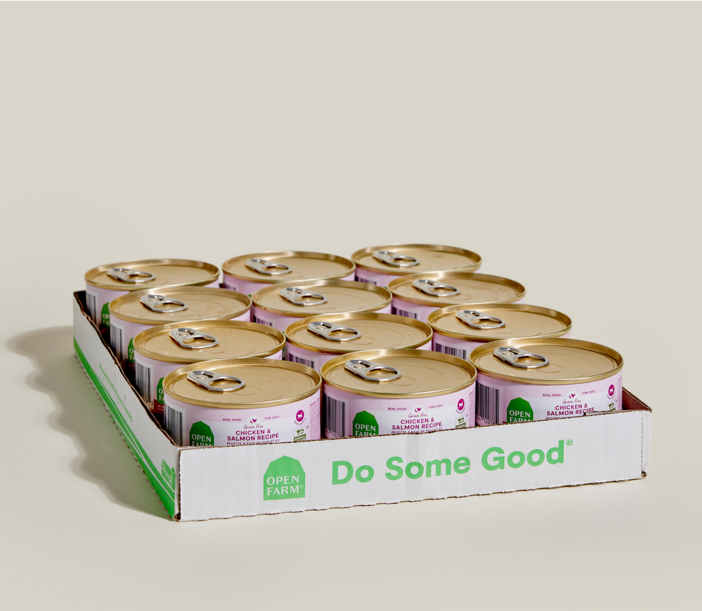 Ocean Wise Salmon & Chicken Grain-Free Pâté – Wet Cat Food Meal
